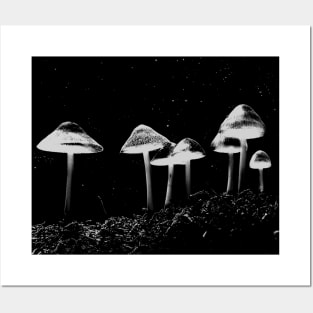 Mushroom Photograph Black & White Posters and Art